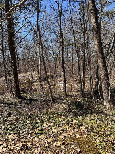 n/a n/a undefined | Gravenhurst | Image