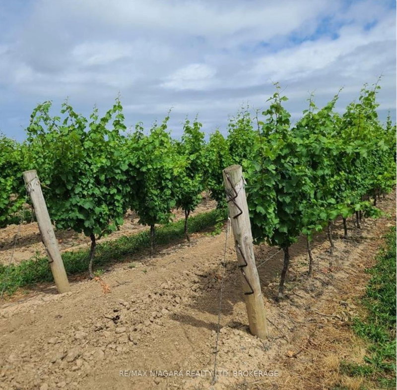 1074 Niagara Stone Rd, Niagara-on-the-Lake, L0S 1J0 | Image 3