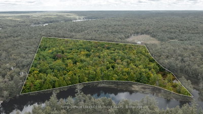 0 Muskoka River — photo 5