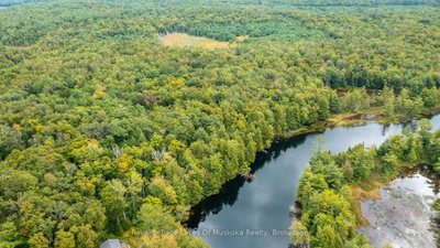 0 Muskoka River — photo 6