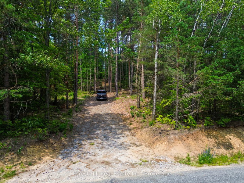 1130 Chetwynd Rd, Armour, P0A 1C0 | Image 2