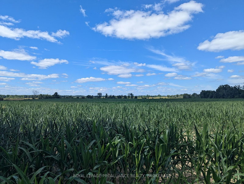 home for sale on 2622 4th Concession Road