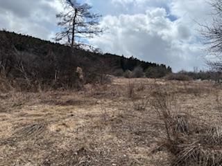 937054 Airport Rd, Mulmur, L9V 0L6 | Image 2