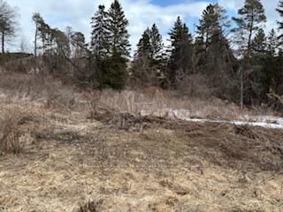 937054 Airport Rd, Mulmur, L9V 0L6 | Image 3