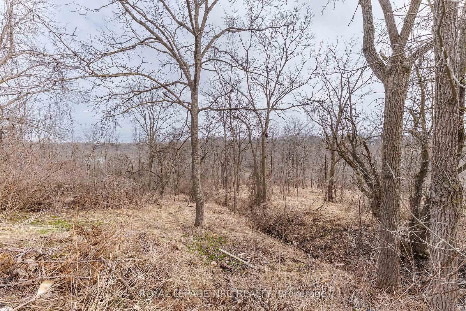 Detached House for sale at 105 Hillview Road, St. Catharines, Ontario, L2S 1S8 - Western Hill - MLS: X12921324