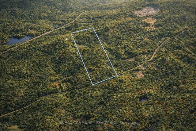 12 CON 22 CARDIFF Concession