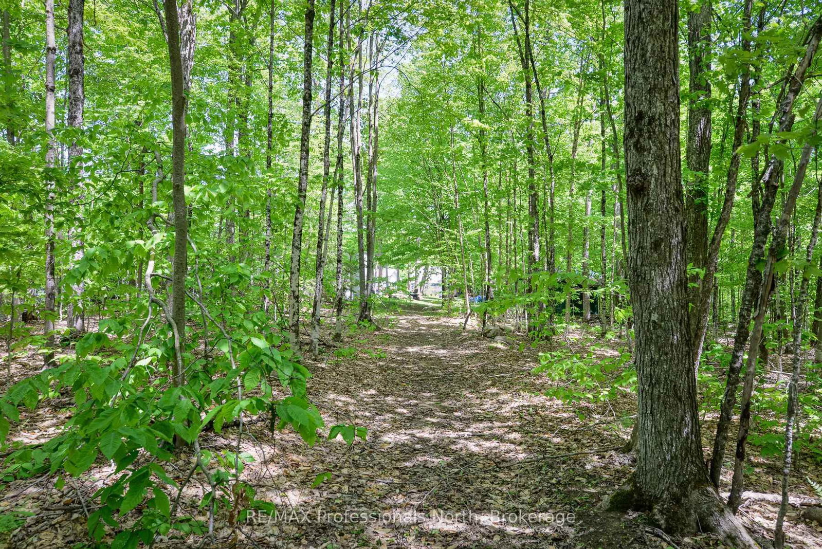 1874 Highway 118 E • Bracebridge, ON photo 26