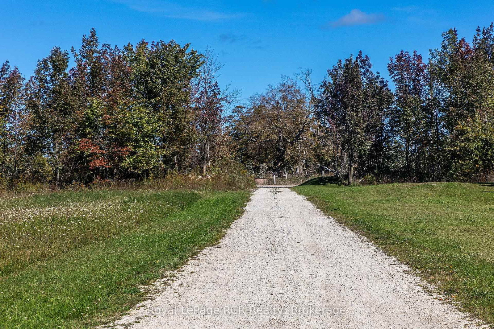 Listing Image 45