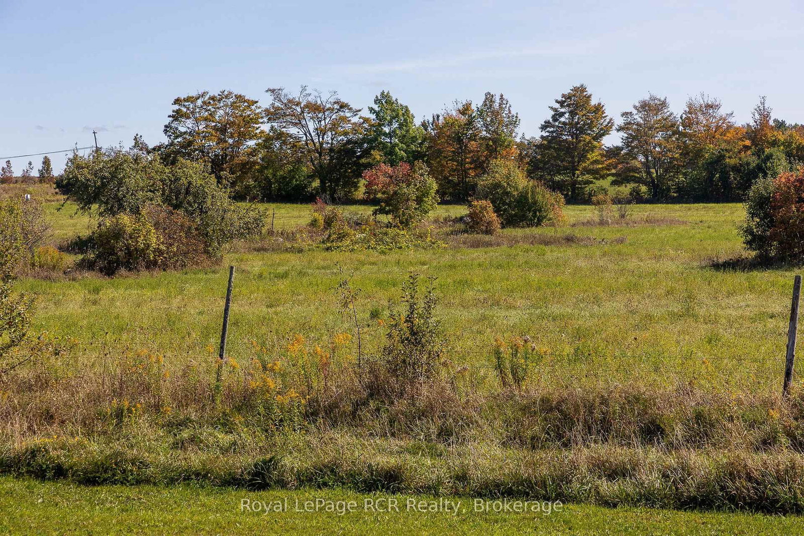 Listing Image 49