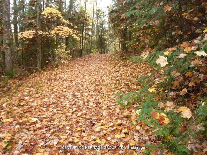 Pt Lot 8 MacDuff Rd, Highlands East, K0L 2Y0 | Image 2