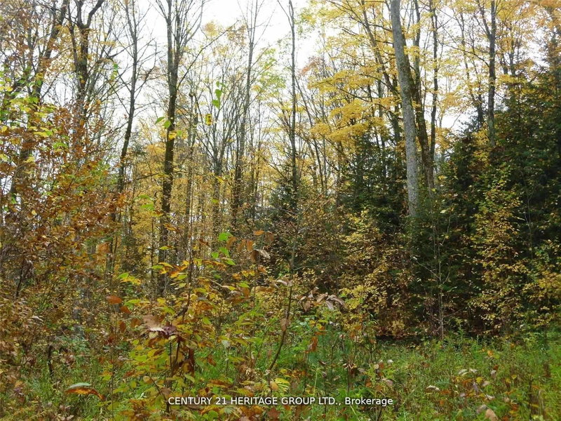 Pt Lot 8 MacDuff Rd, Highlands East, K0L 2Y0 | Image 3