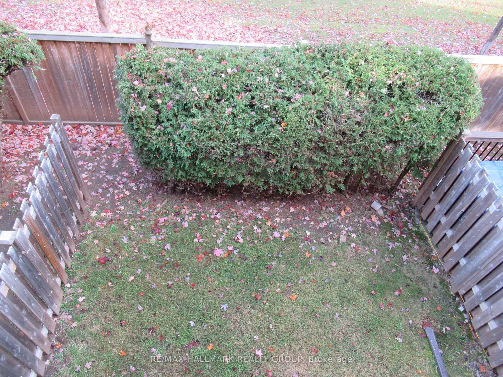 81 LIGHTFOOT Place - Photo 16