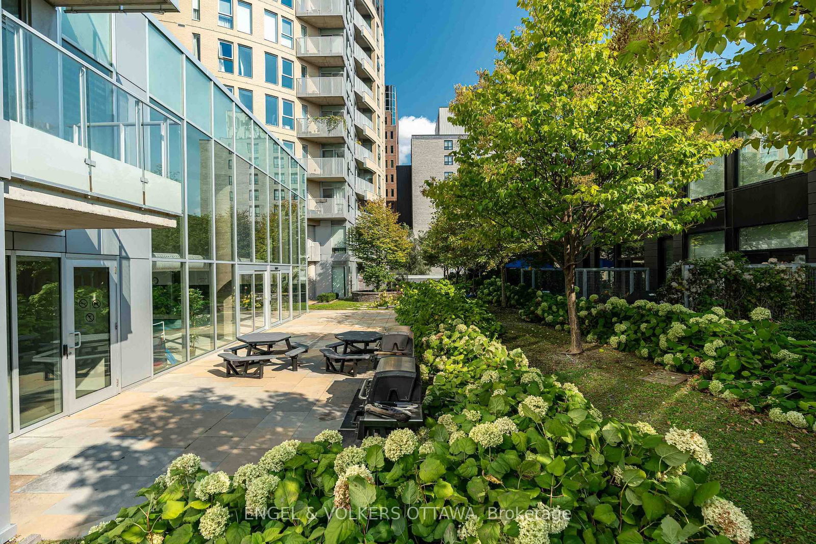 197 Lisgar Street, Unit 218 - Photo 36