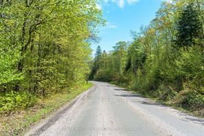 1835B Lorimer Lake Rd N, Whitestone, P2A 1G0 | Image 2