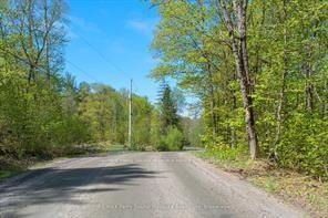 1835B Lorimer Lake Rd N, Whitestone, P2A 1G0 | Image 3