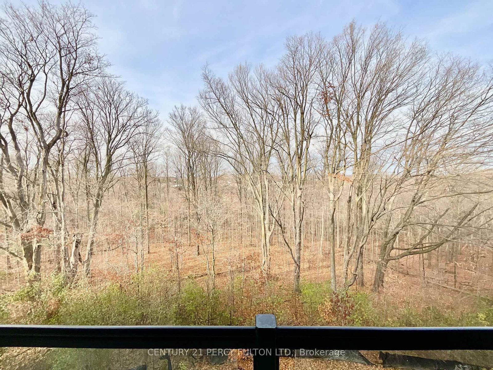 1100 Lackner Place, Unit 303 - Photo 15