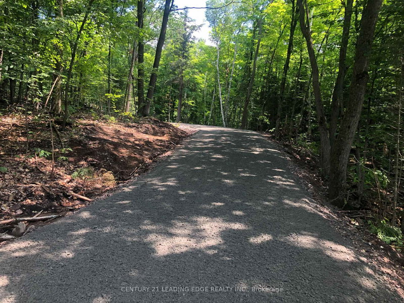 251 Shebeshekong Rd, Carling, P0G 1G0 | Image 2