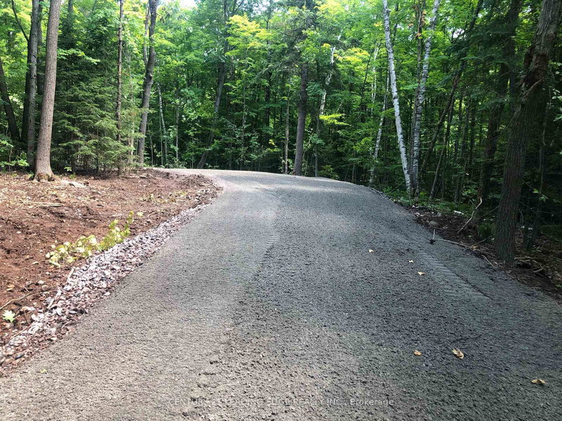 251 Shebeshekong Rd, Carling, P0G 1G0 | Image 3