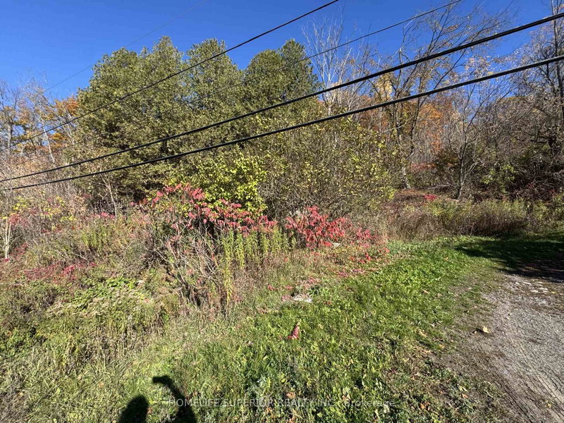 58 Main St, Limoges, K0K 2M0 | Image 2