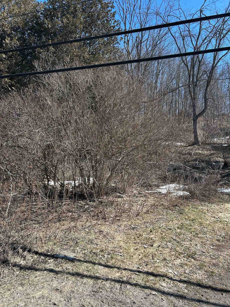 58 Main St, Limoges, K0K 2M0 | Image 3