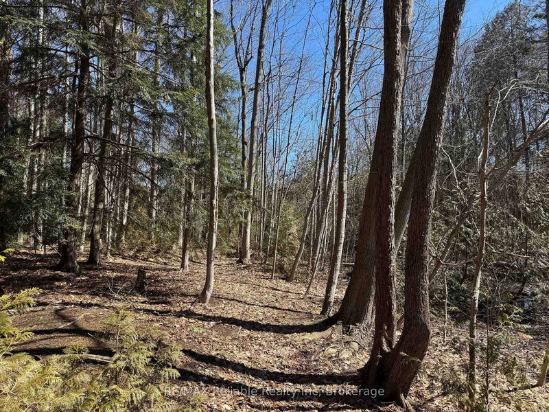 28 George St, Bluewater, N0M 1G0 | Image 2