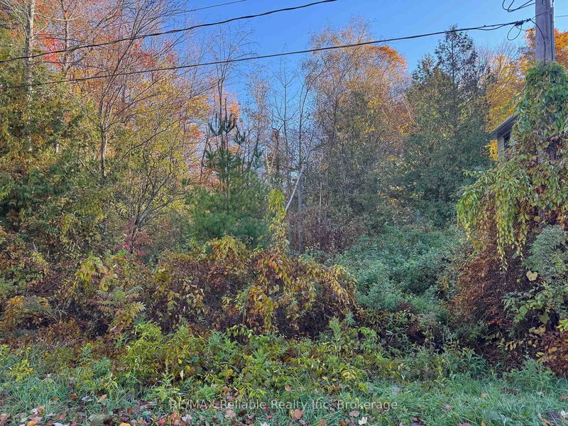 28 George St, Bluewater, N0M 1G0 | Image 3