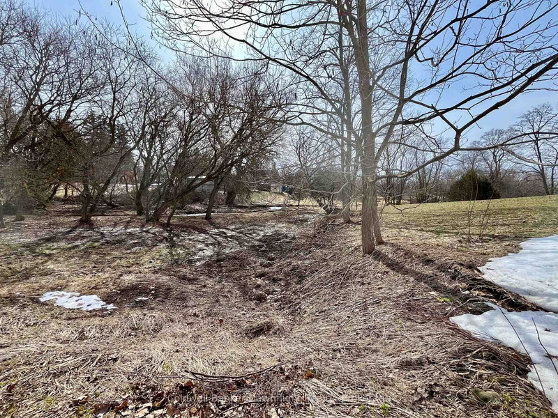 LT 214 215 ALBERT St, Howick, N0G 1X0 | Image 2