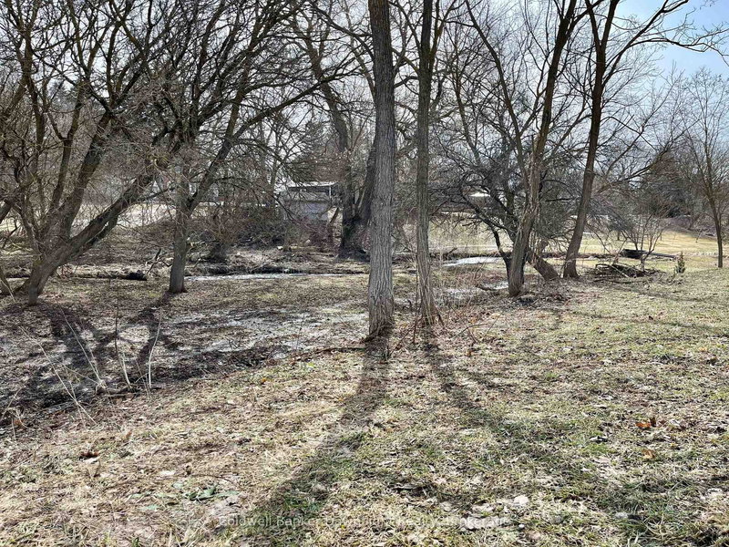 LT 214 215 ALBERT St, Howick, N0G 1X0 | Image 3