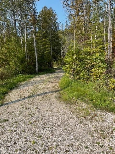 6 Henwood St, Northern Bruce Peninsula, N0H 2M0 | Image 3