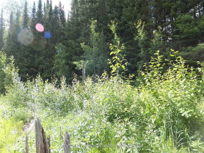 2098 Glamor Lake Rd | Highlands East | Image