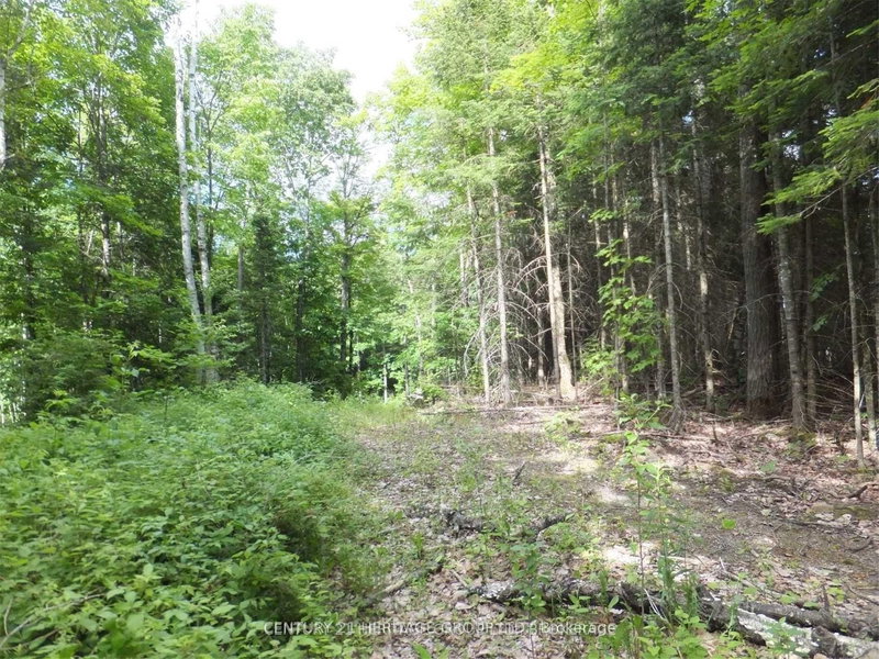 2098 Glamor Lake Rd, Highlands East, K0M 1R0 | Image 3