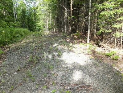 2080 Glamor Lake Road — photo 4