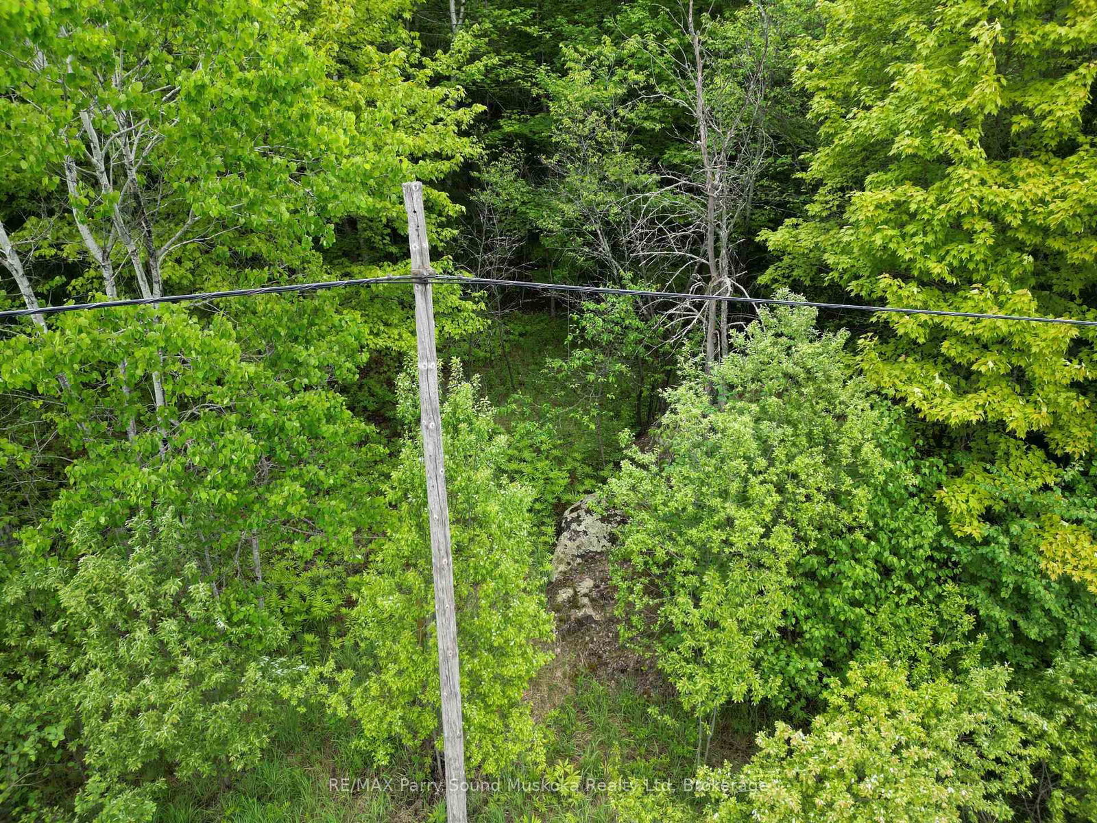 1-22342 East Road • Parry Sound Remote Area, ON photo 1
