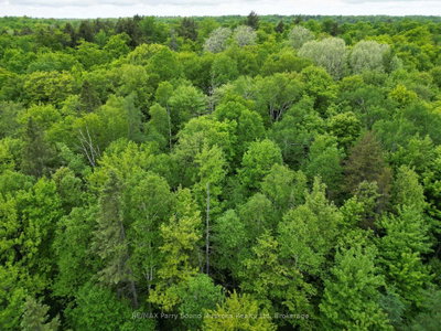 1-22342 East Road • Parry Sound Remote Area, ON photo 3