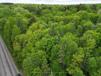 1-22342 East Road • Parry Sound Remote Area, ON photo 4