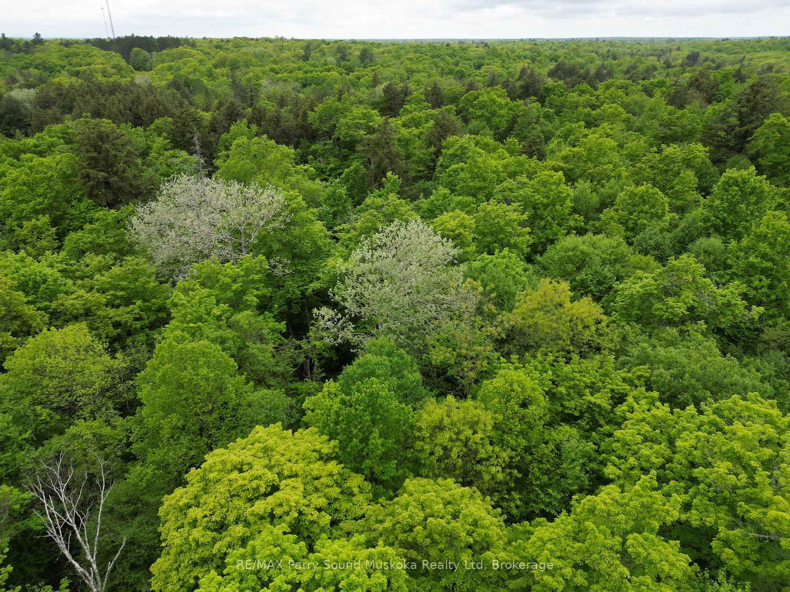 1-22342 East Road • Parry Sound Remote Area, ON photo 5