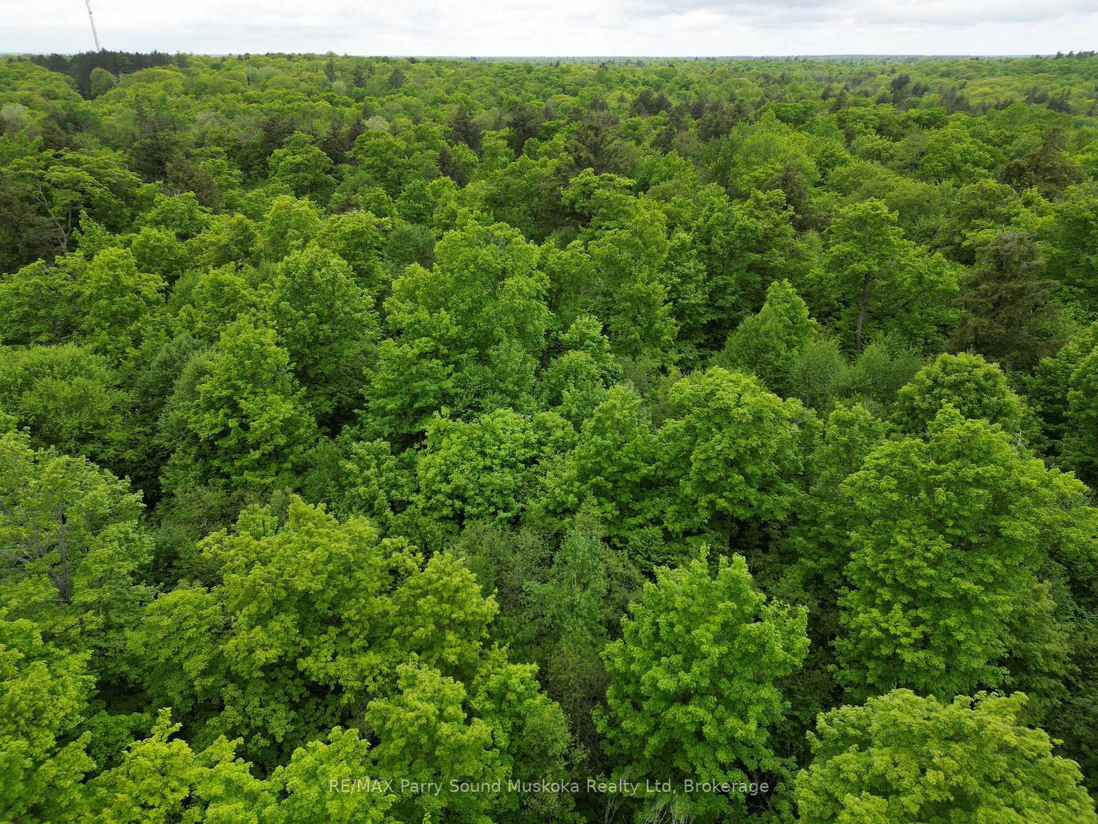 1-22342 East Road • Parry Sound Remote Area, ON photo 6