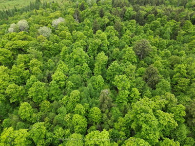 1-22342 East Road • Parry Sound Remote Area, ON photo 8