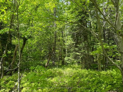 1-22342 East Road • Parry Sound Remote Area, ON photo 9