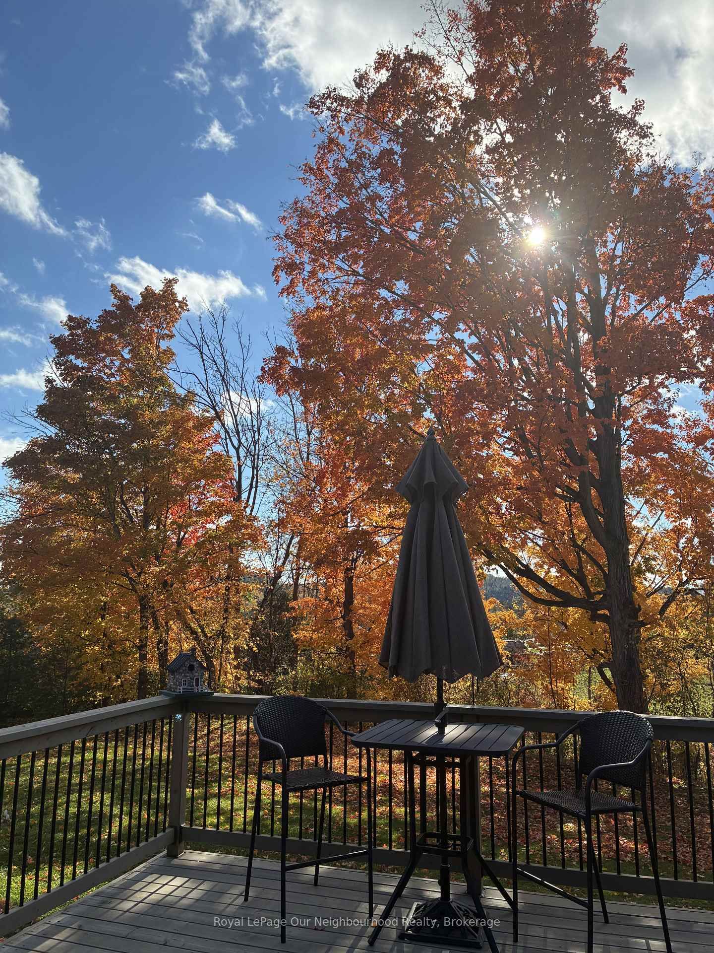 61 Orchard Way - Photo 36