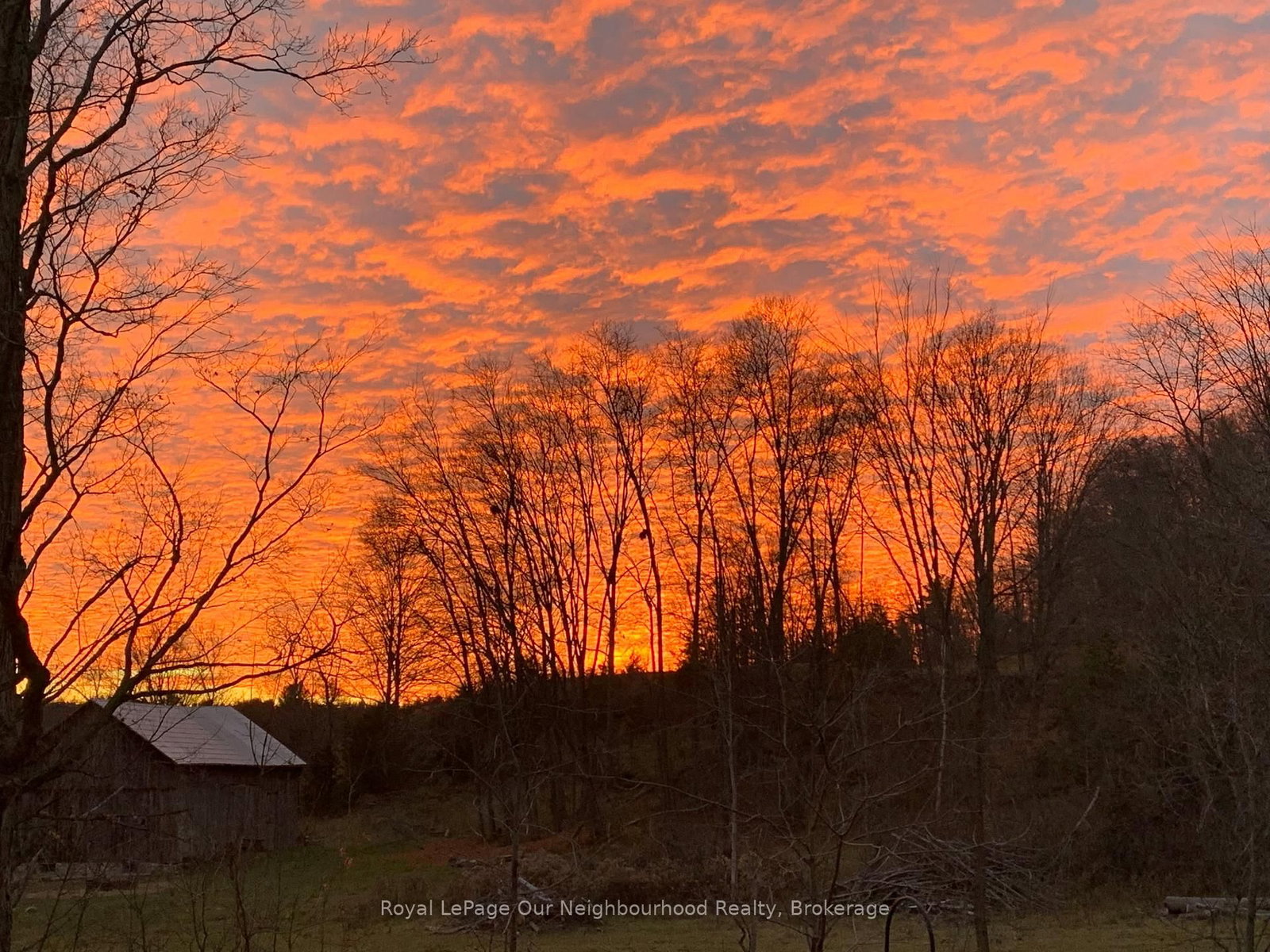 61 Orchard Way - Photo 37