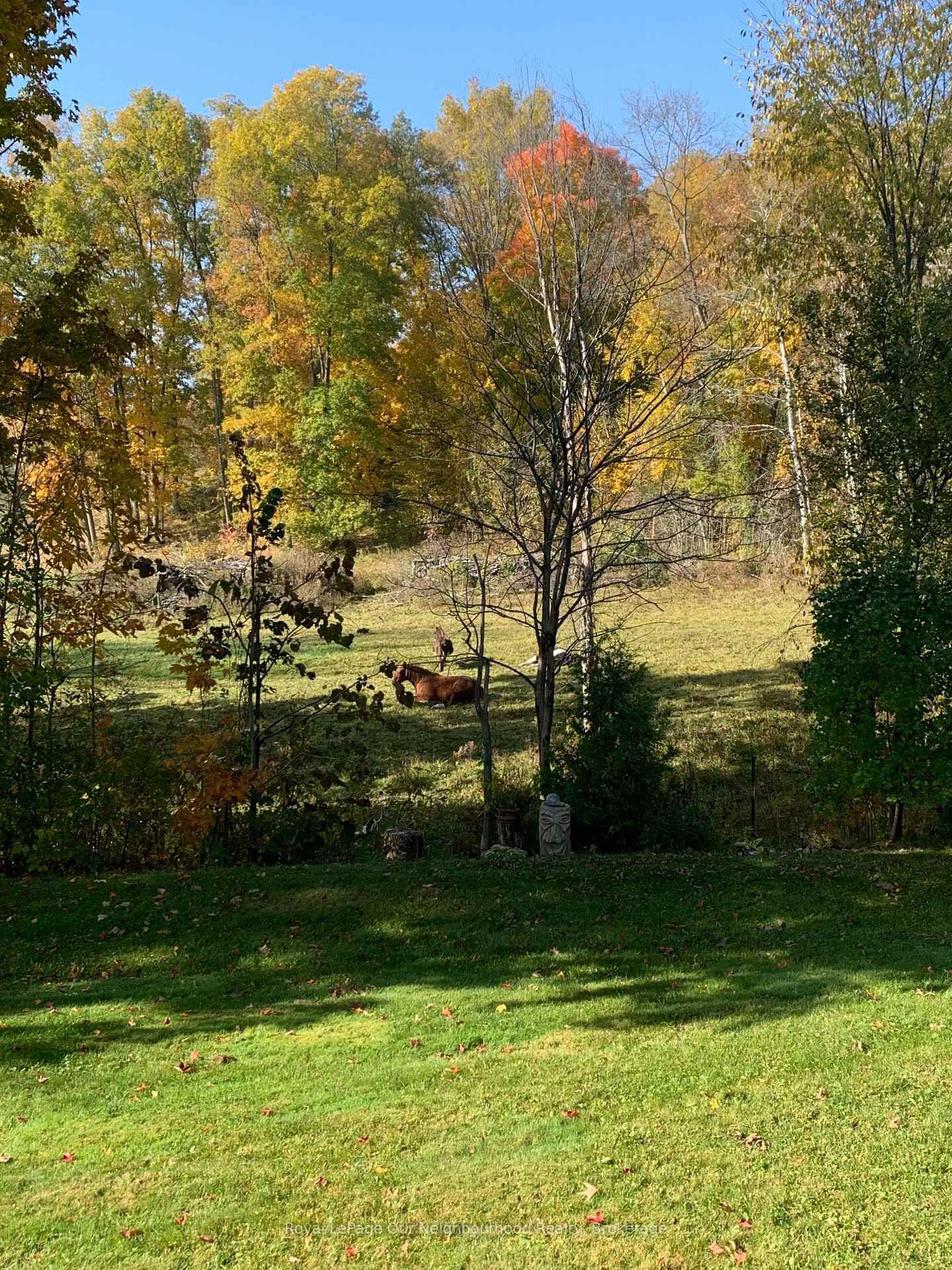 61 Orchard Way - Photo 38