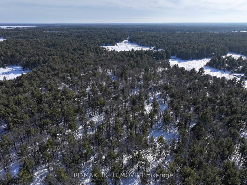 2503 Southwood Rd, Gravenhurst, P0E 1G0 | Image 3