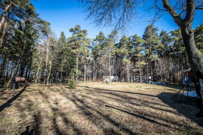 313634 W HIGHWAY 6 Highway • West Grey, ON photo 8
