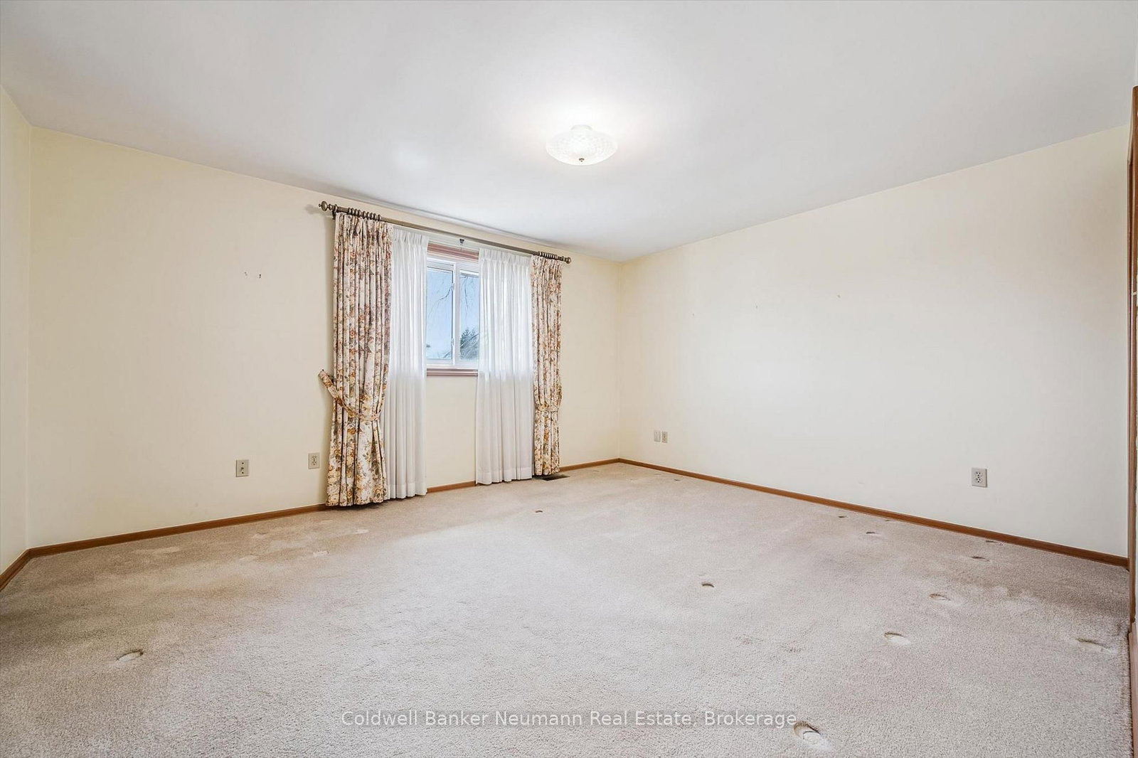 18 Carmine Place - Photo 22