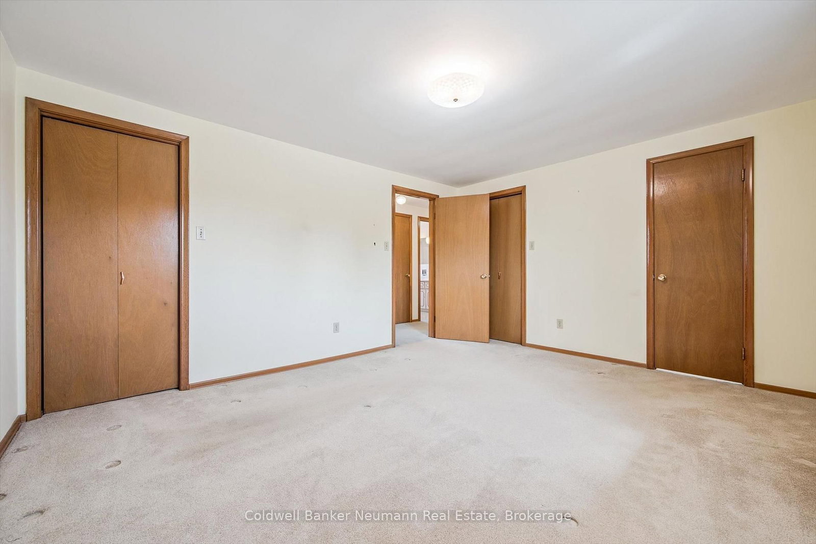 18 Carmine Place - Photo 24