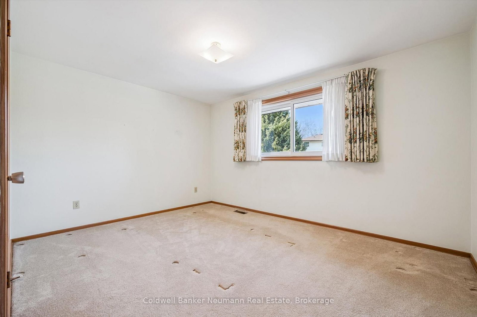 18 Carmine Place - Photo 27