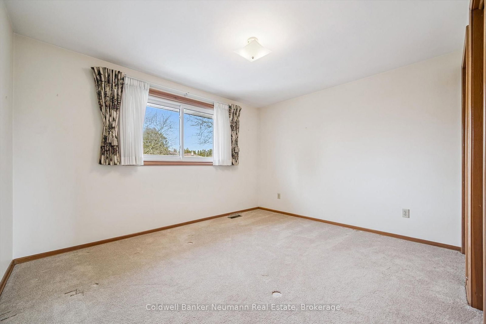 18 Carmine Place - Photo 30