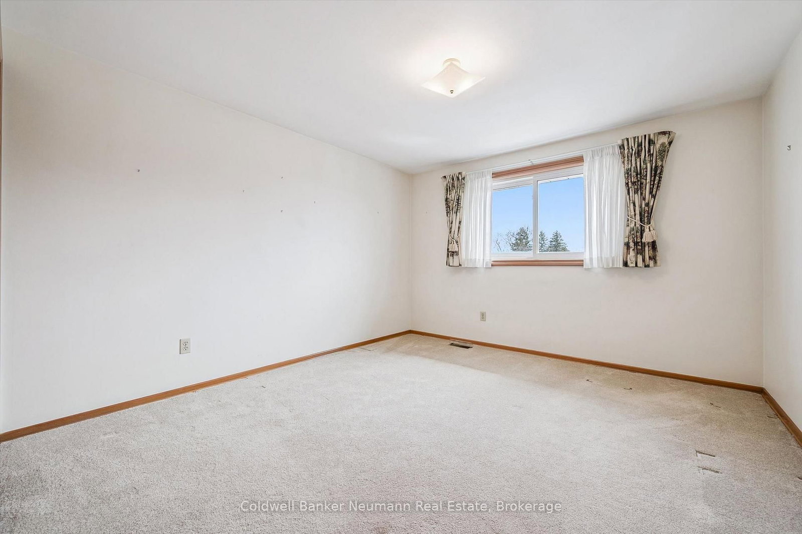 18 Carmine Place - Photo 32