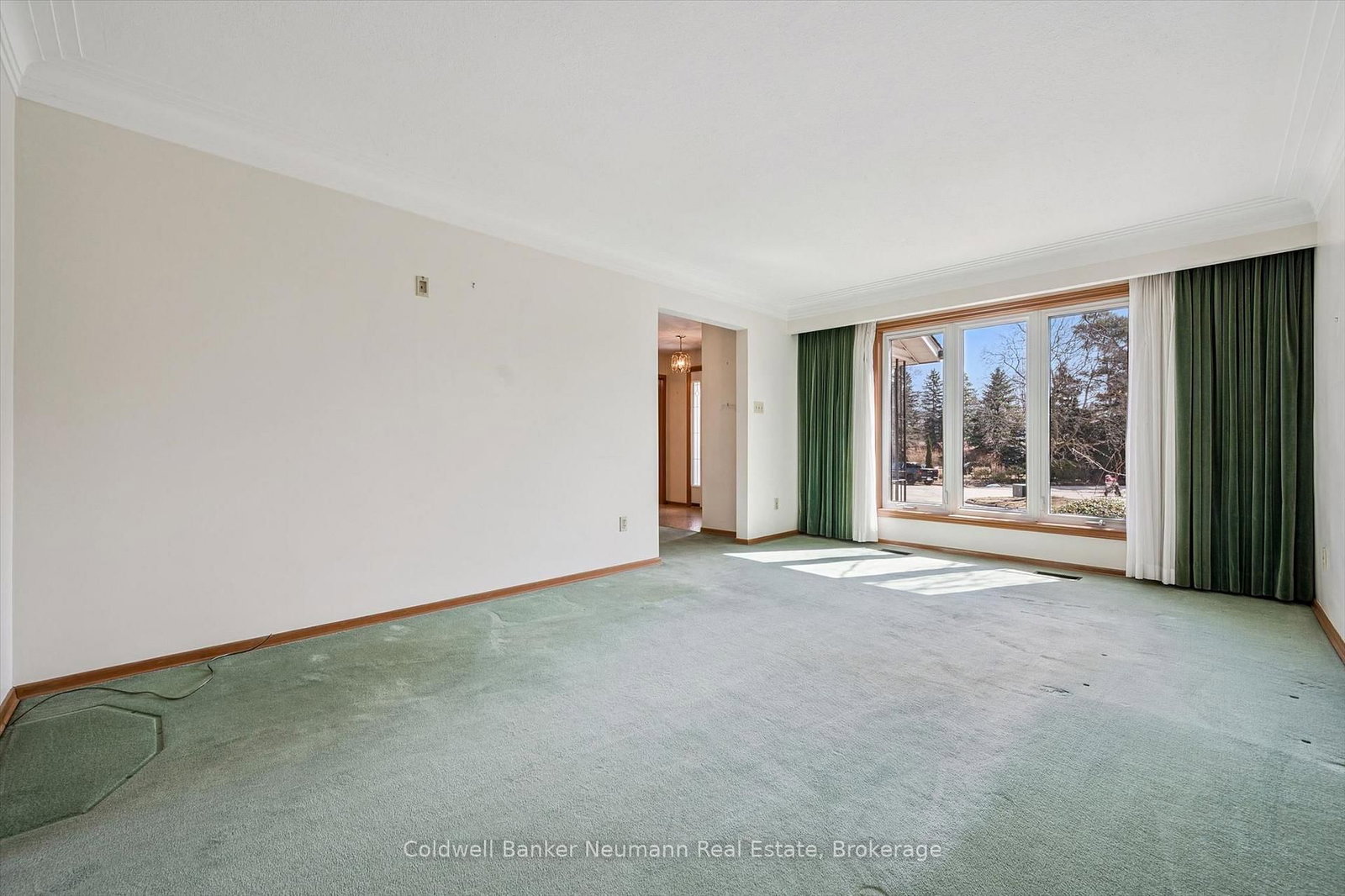 18 Carmine Place - Photo 5